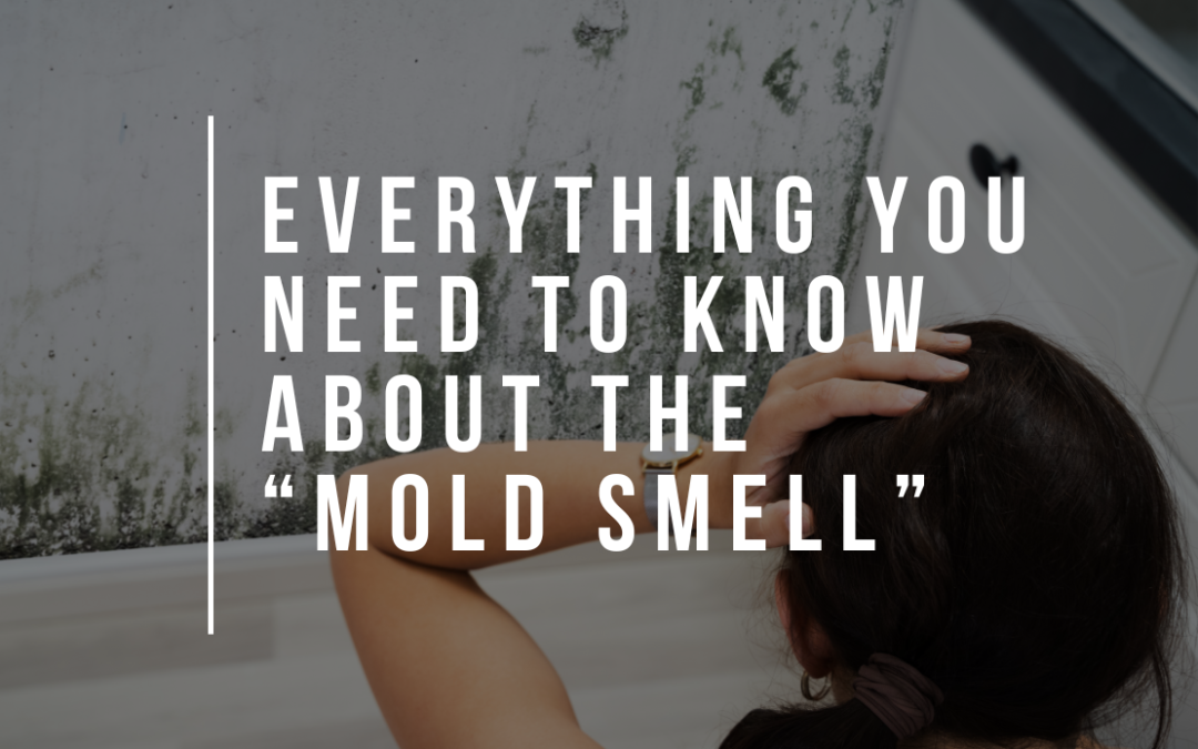 Everything You Need to Know About the ‘Mold Smell’