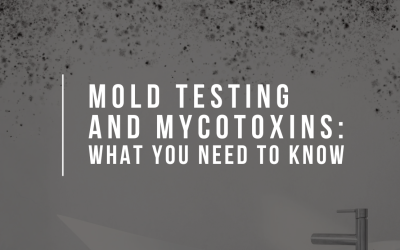 Mold Testing and Mycotoxins: What You Need to Know