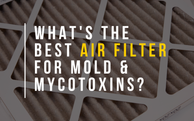 What’s the Best Air Filter for Mold & Mycotoxins?