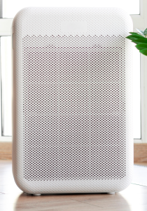 best air filter for mold and mycotoxins