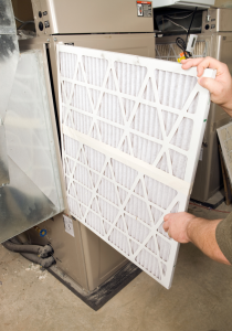 best air filters for mold and mycotoxins