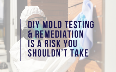 DIY Mold Testing & Remediation is a Risk You Shouldn’t Take