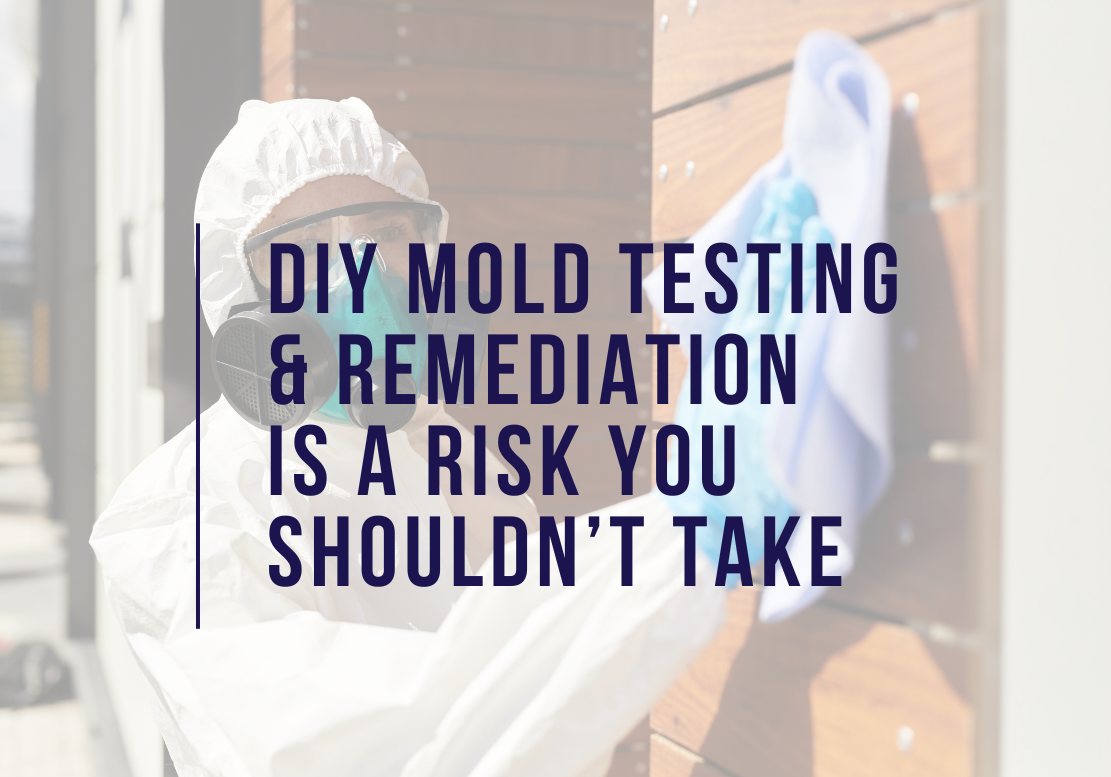 DIY Mold Remediation is a Risk You Shouldn’t Take - AQE Advice