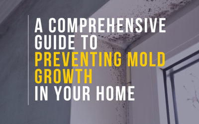 A Comprehensive Guide to Preventing Mold Growth in Your Home